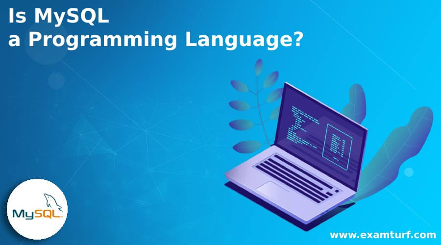 Is MySQL a Programming Language?