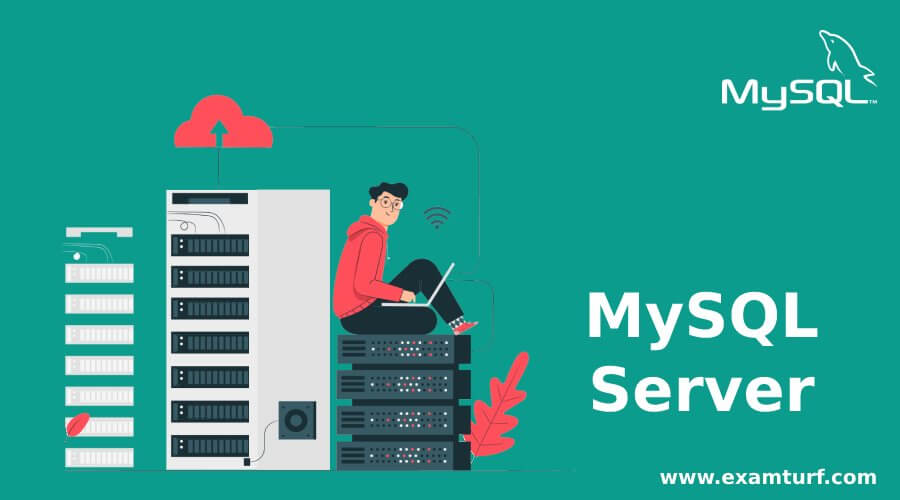 MySQL Server