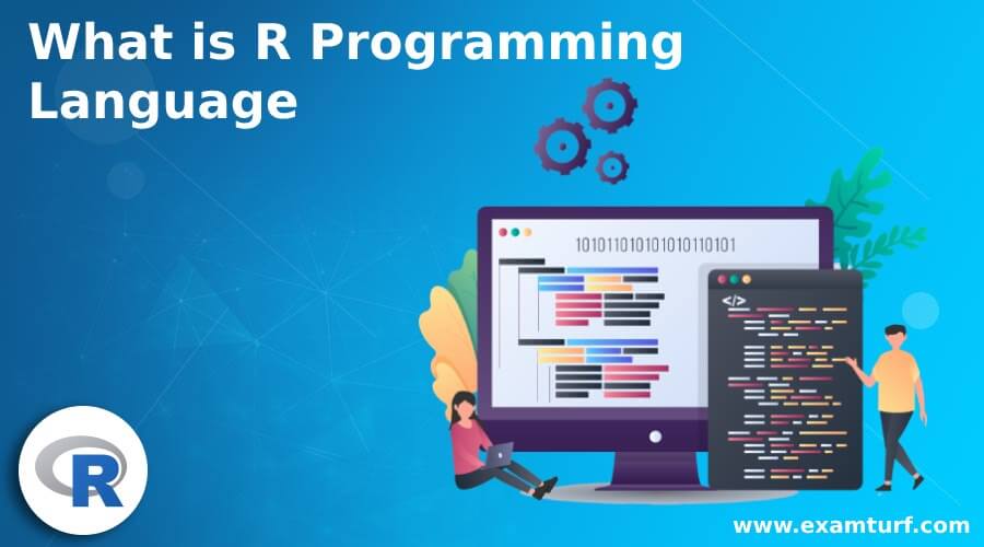 What is R Programming 