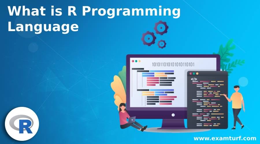 What is R Programming