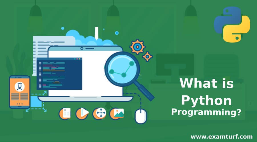 What is Python Programming?