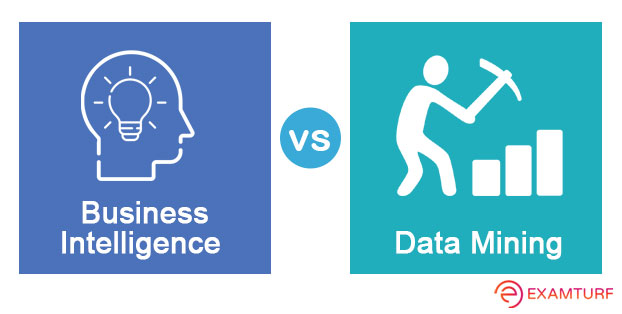 Business Intelligence and Data Mining